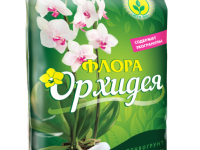 Флора Орхидея